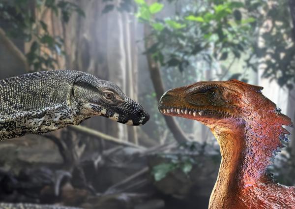 Der Mai im Tierpark + Fossilium Bochum
