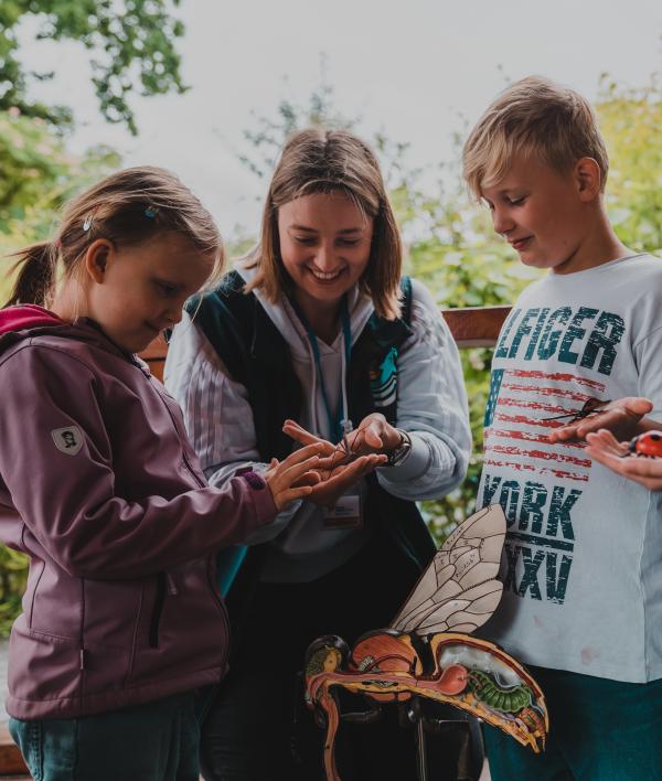 Schüler:innenakademie für Grundschulen: "Mission Wildbiene – Entdecken, Verstehen, Beschützen" 