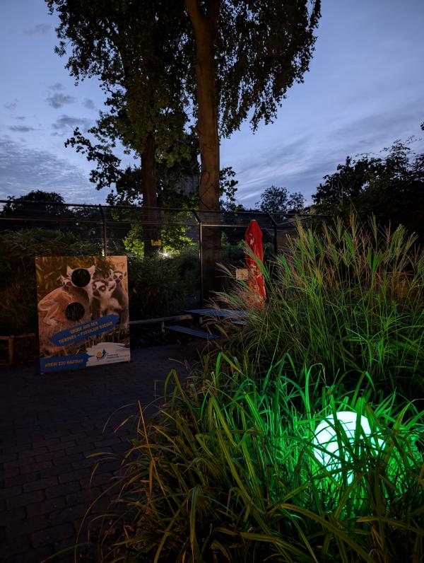 Nacht der Natur
