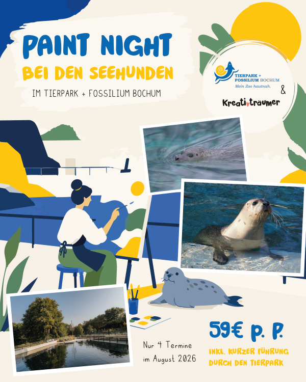 Kreativität trifft Tiererlebnis 