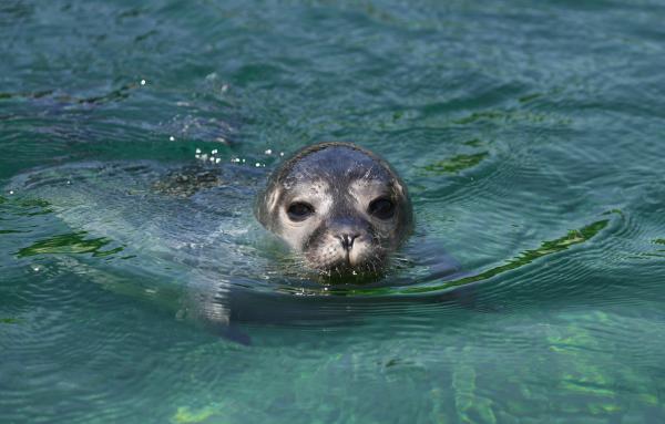 Kleiner Nachwuchs, große Mitmach-Aktion im Tierpark Bochum