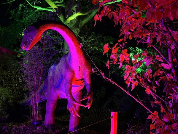 Dinos im Licht: Wenn die Urzeit im Tierpark Bochum leuchtet